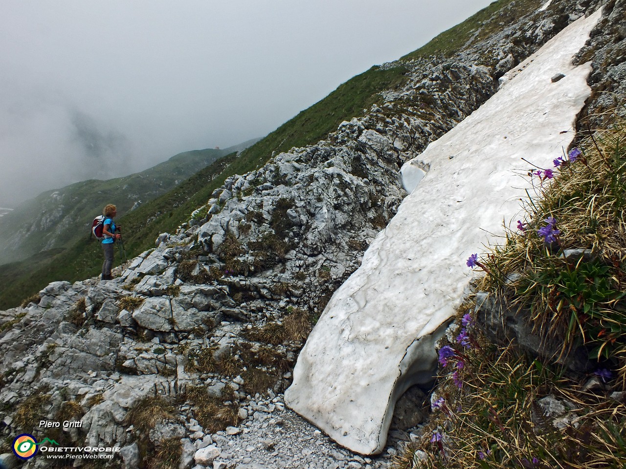 40 Fiori su sfondo neve...marciotta.JPG